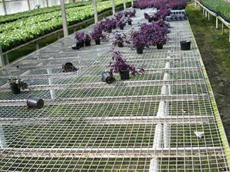 溫室苗圃網(wǎng)圖片1 溫室苗圃網(wǎng)圖片1
