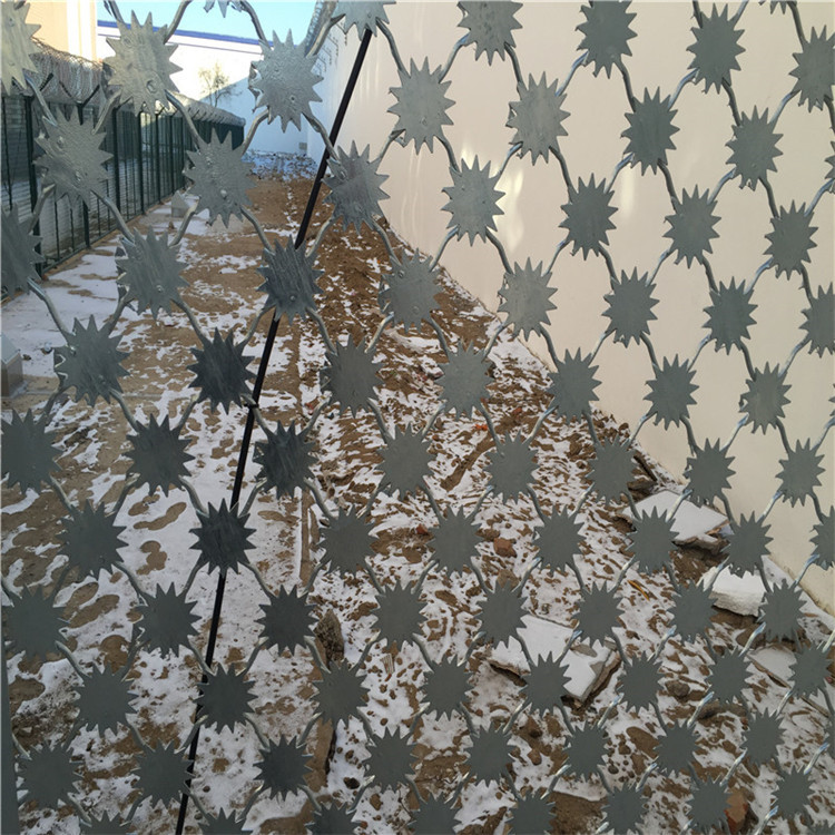 防攀爬梅花刺隔離網(wǎng)圖片3 防攀爬梅花刺隔離網(wǎng)圖片3