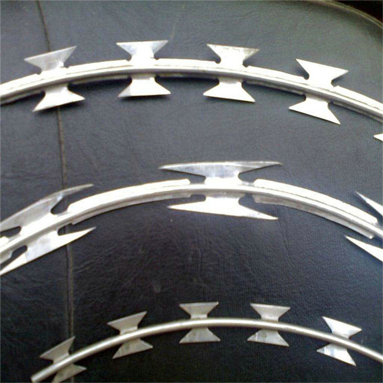 刀片刺繩護欄網(wǎng)圖片1 刀片刺繩護欄網(wǎng)圖片1